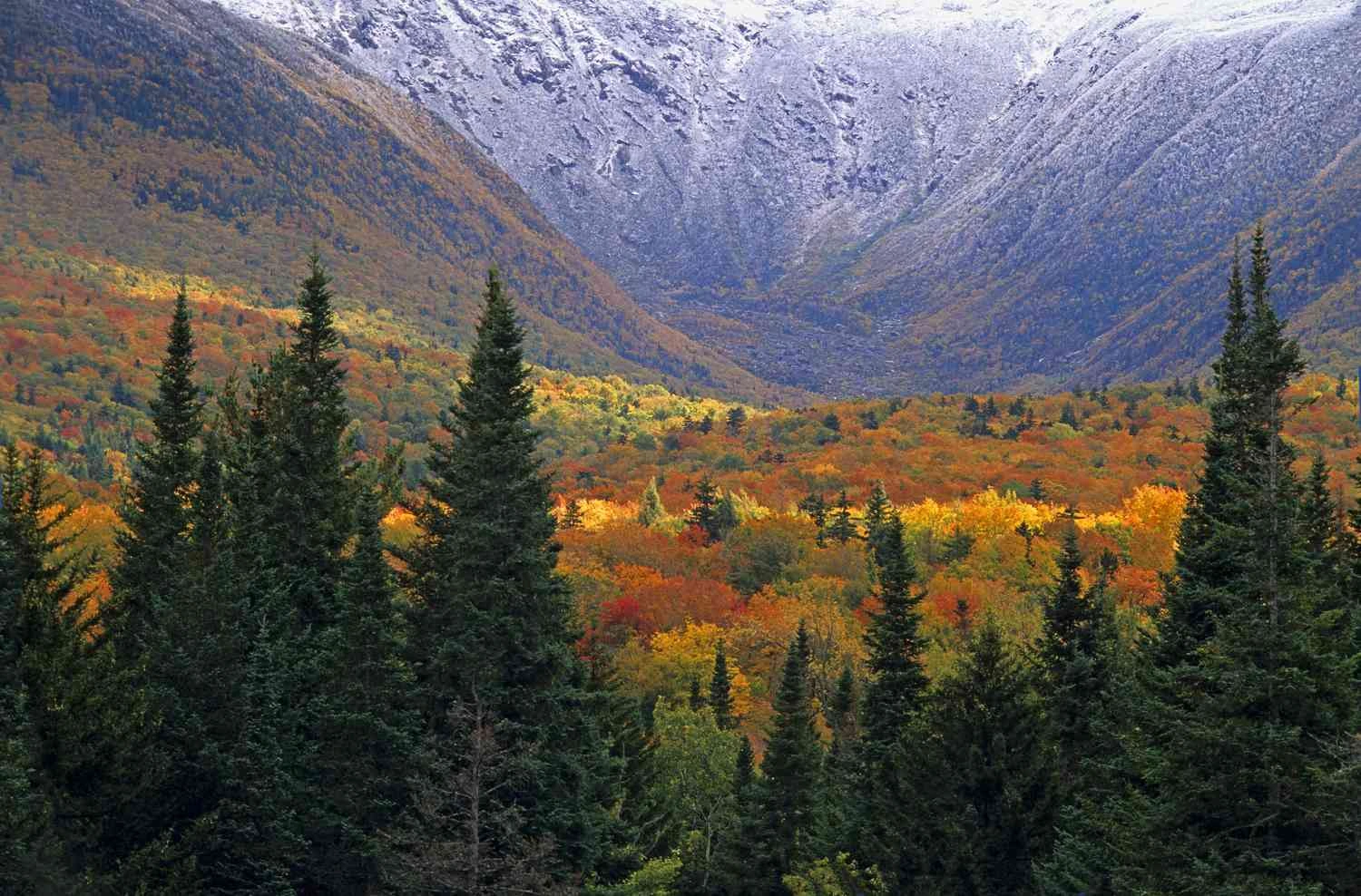 Heavenly Heights White Mountains